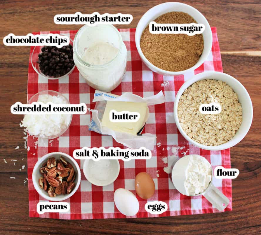 over head shot of cowboy cookie ingredients